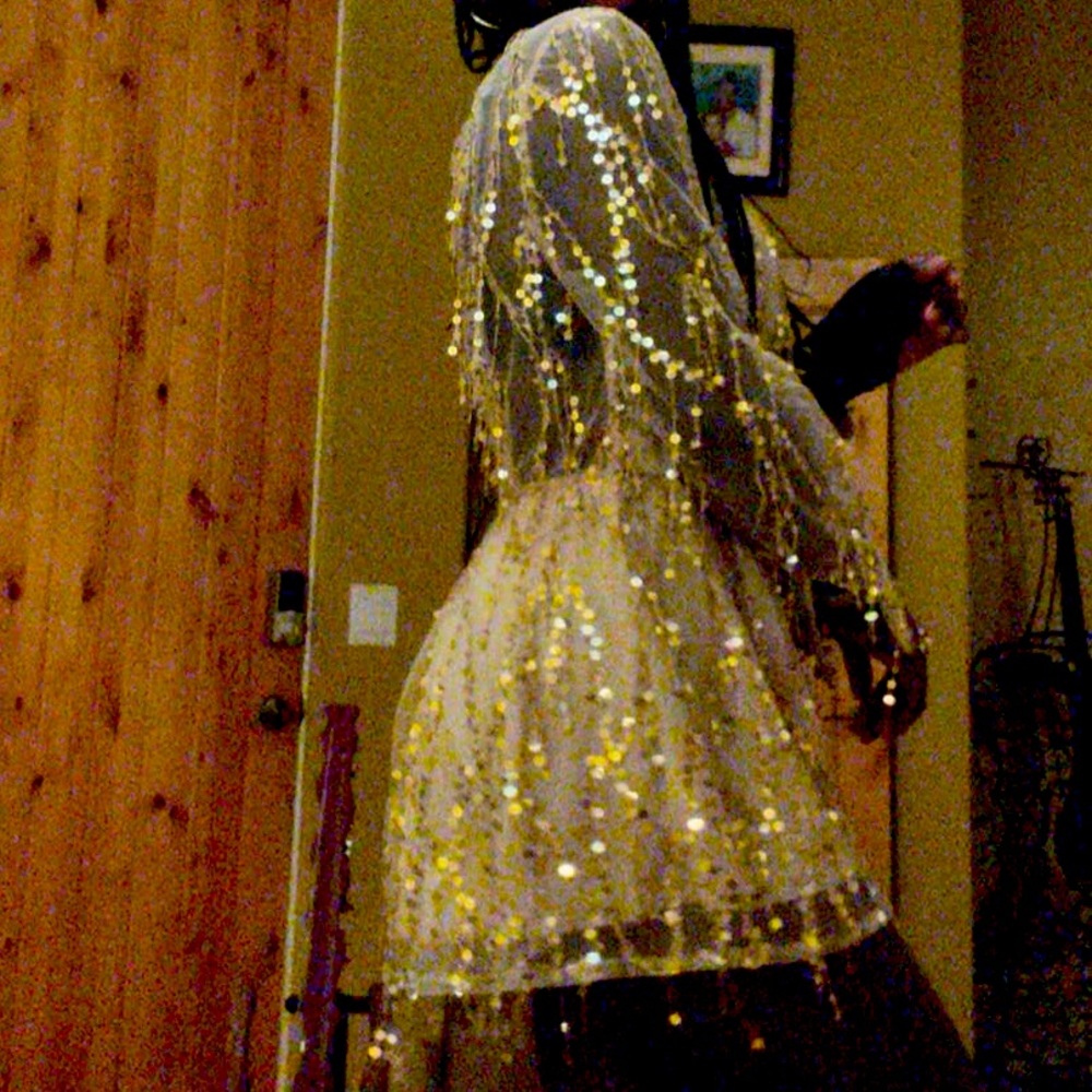 Sparkled shortfalls bought in Vegas. One of a kind dress and just like new.